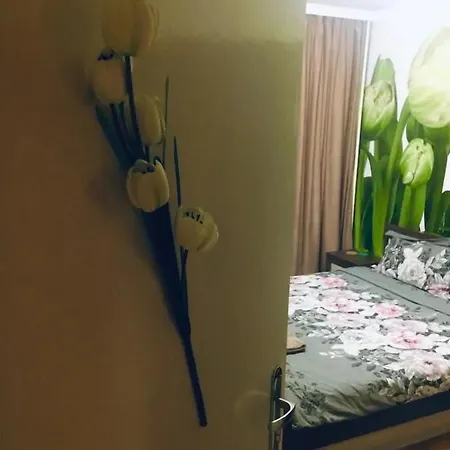 Rum i privatbostad 2 Bedrooms With Private Bath And Balcony Near The Airport *